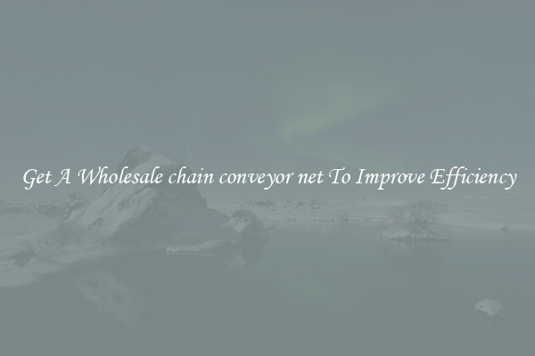 Get A Wholesale chain conveyor net To Improve Efficiency