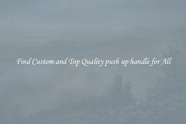 Find Custom and Top Quality push up handle for All