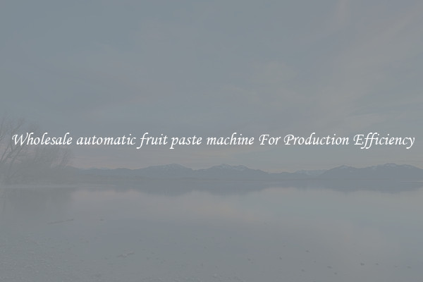 Wholesale automatic fruit paste machine For Production Efficiency