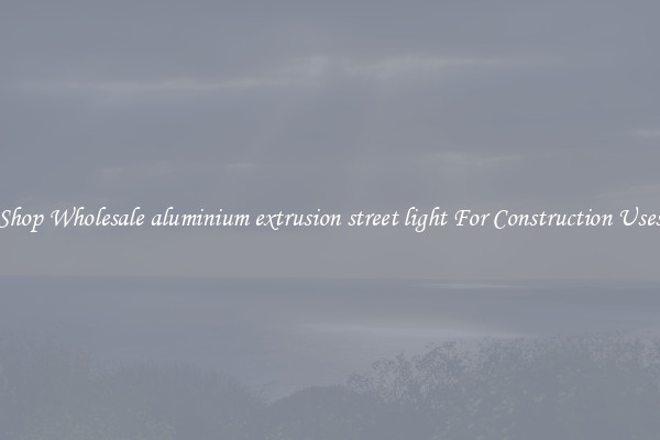Shop Wholesale aluminium extrusion street light For Construction Uses