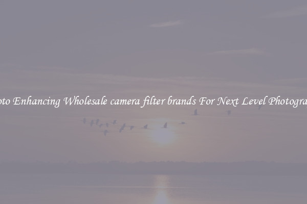 Photo Enhancing Wholesale camera filter brands For Next Level Photography