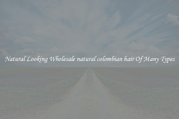 Natural Looking Wholesale natural colombian hair Of Many Types