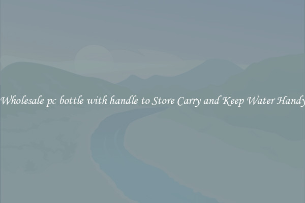 Wholesale pc bottle with handle to Store Carry and Keep Water Handy