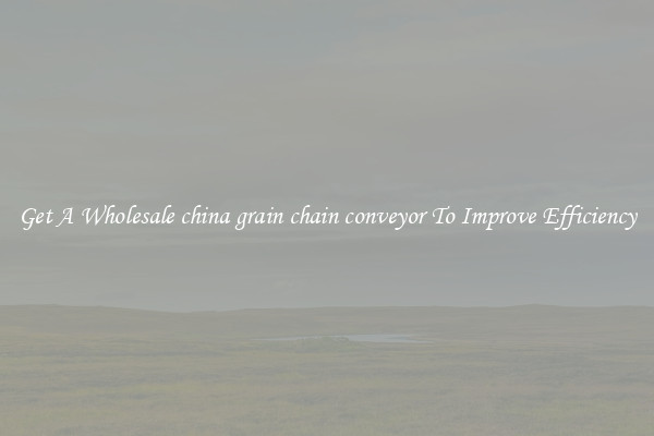 Get A Wholesale china grain chain conveyor To Improve Efficiency