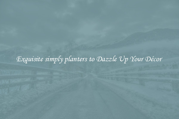 Exquisite simply planters to Dazzle Up Your Décor 