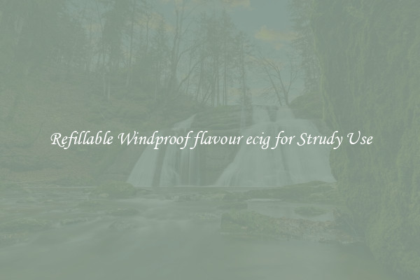 Refillable Windproof flavour ecig for Strudy Use