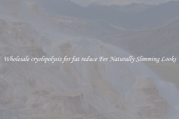 Wholesale cryolipolysis for fat reduce For Naturally Slimming Looks