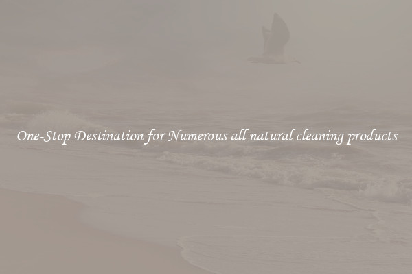 One-Stop Destination for Numerous all natural cleaning products
