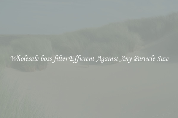 Wholesale boss filter Efficient Against Any Particle Size