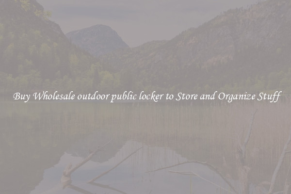 Buy Wholesale outdoor public locker to Store and Organize Stuff
